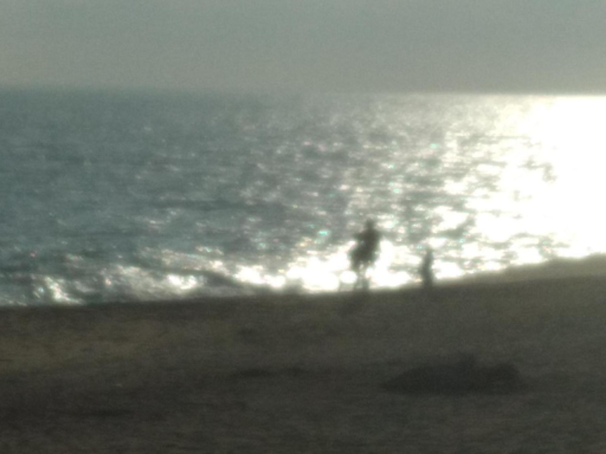 Happy Beach Safari Retreat 汉班托塔 客房 照片